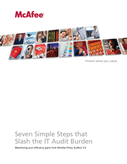 Seven Simple Steps that Slash the IT Audit Burden