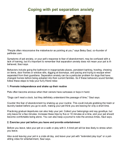 Coping with pet separation anxiety