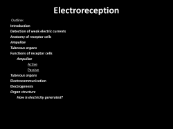 Electroreception