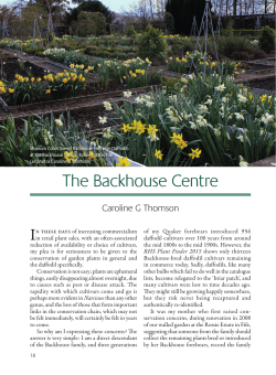 The Backhouse Centre - The Backhouse Rossie Estate