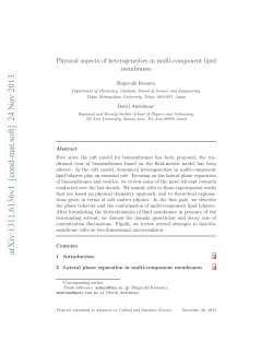 Physical aspects of heterogeneities in multi