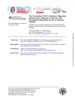 Subunit Integrin 1&beta; Mechanisms Dependent on the and Increases