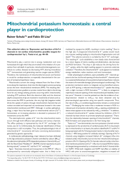 Mitochondrial potassium homeostasis: a central player in