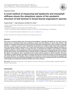 A novel method of measuring leaf epidermis and mesophyll stiffness