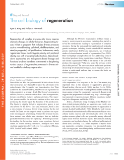 The cell biology of regeneration