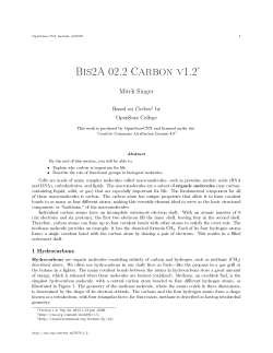 Bis2A 02.2 Carbon v1.2