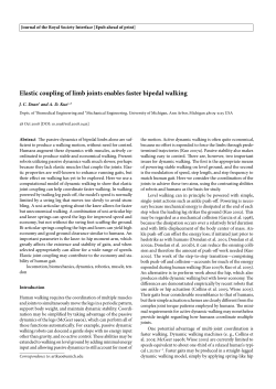 Elastic coupling of limb joints enables faster bipedal walking