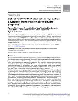 Role of Stro1 /CD44 stem cells in myometrial physiology and uterine