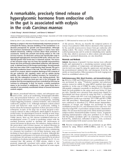 A remarkable, precisely timed release of hyperglycemic hormone