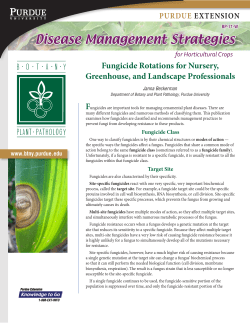 Fungicide Rotations for Nursery, Greenhouse