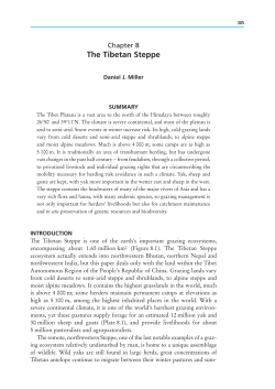 The Tibetan Steppe - Case Western Reserve University