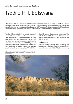 The Rock Art of Tsodilo Hill, Botswana