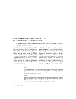 SOME OBSERVATIONS ON THE FINE