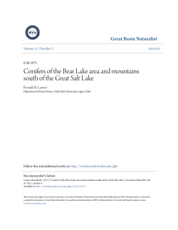 Conifers of the Bear Lake area and mountains south of the Great