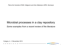 Presentation - Eurosafe