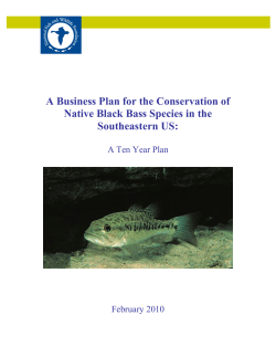 Southeast Native Bass Business Plan