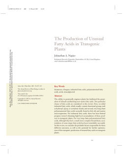 The Production of Unusual Fatty Acids in Transgenic Plants