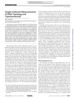 Single-molecule measurements of DNA topology and topoisomerases.