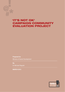 Evaluation Report