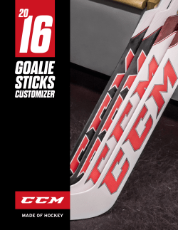 goalie sticks