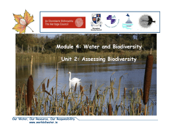 4.2 Assessing Biodiversity