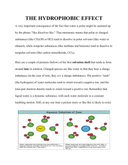 THE HYDROPHOBIC EFFECT