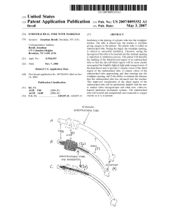 (2) Patent Application Publication (10) Pub. No.: US 2007/0095352 A1