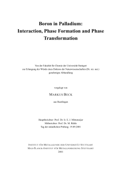 Boron in Palladium: Interaction, Phase Formation and Phase