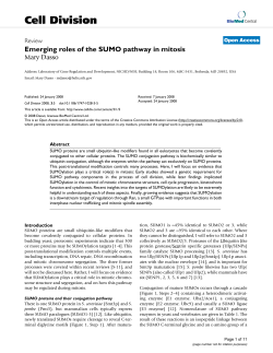 Emerging roles of the SUMO pathway in mitosis | SpringerLink