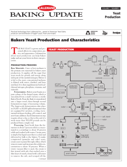 LALLEMAND BAKING UPDATE Yeast Production