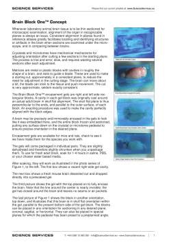 Brain Blocker Technical Data Sheet
