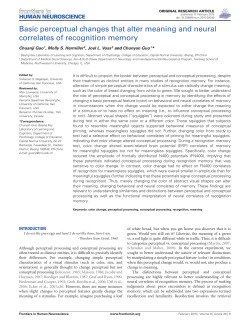 Basic perceptual changes that alter meaning and neural correlates