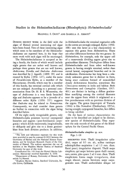 Studies rn the Helminthocladiaceae (Rhodophyta