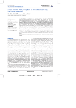 A new role for P2X4 receptors as modulators of lung surfactant
