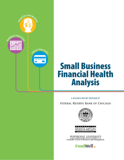 Small Business Financial Health Analysis