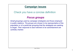 Campaign issues Focus groups Check you have a concise definition