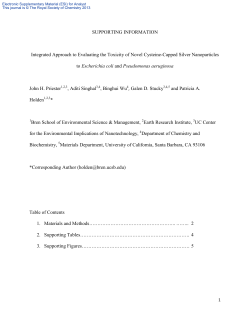 SUPPORTING INFORMATION Integrated Approach to Evaluating