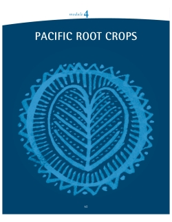 pacific root crops - Food and Agriculture Organization of the United