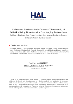 CoDisasm: Medium Scale Concatic Disassembly of Self - HAL