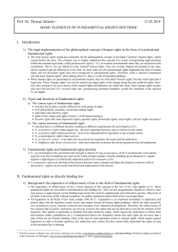Basic elements of fundamental rights doctrine