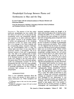 Phospholipid Exchange Between Plasma and Erythrocytes in