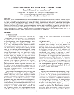 Mollusc Shells Findings from the Red House Excavation, Trinidad