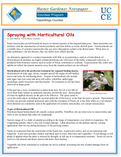 Spraying with Horticultural Oils