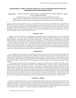 hiearchical structure of spatially localized bioconvection of