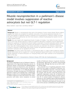 Riluzole neuroprotection in a parkinson`s disease model involves