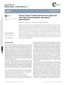 Porous silicon carbide derived from apple fruit with