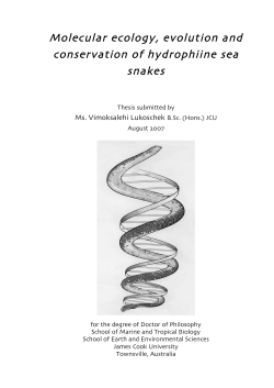 Molecular ecology, evolution and conservation of hydrophiine sea