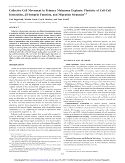 Collective Cell Movement in Primary Melanoma