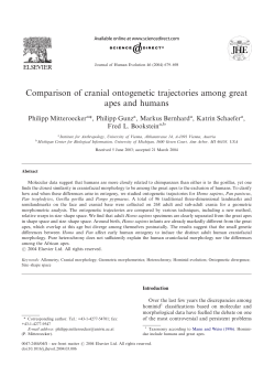 Comparison of cranial ontogenetic trajectories among great apes