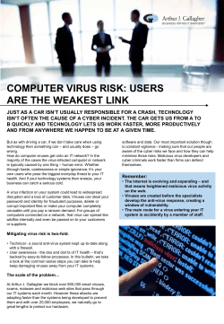 Computer virus risk
